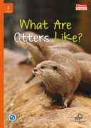 What Are Otters Like? + MP3 What Are Otters Like? + MP3